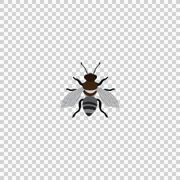 Leaf cutter, Megachile Species Leaf cutter Bee Insect Stock Illustration