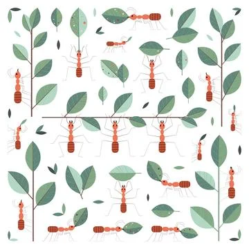 Leaf Cutter Working Ants Team Design Set Stock Illustration