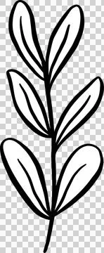 Leaf Decorative Doodle Outline Stock Illustration