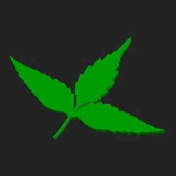 Leaf design on black background Stock-Illustration