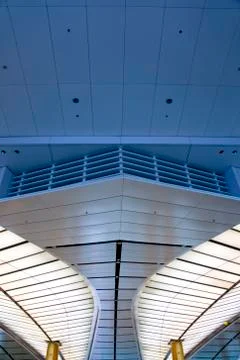 Leaf design lighting 库存照片