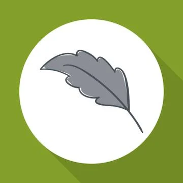 Leaf design over white background, vector illustration Stock Illustration