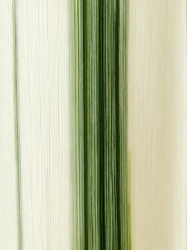 Leaf detail Foto stock