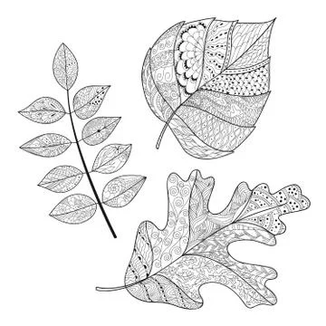 Leaf doodle Stock Illustration