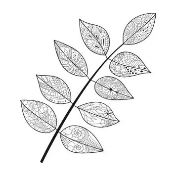 Leaf doodle Stock Illustration