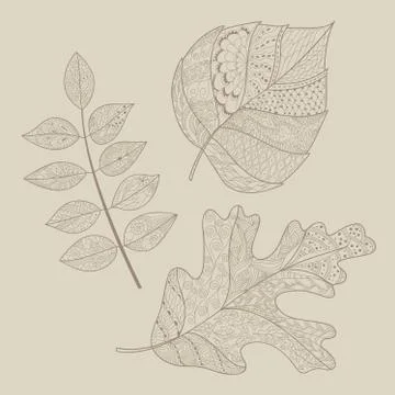 Leaf doodle Stock Illustration