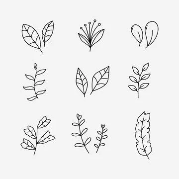 Leaf doodle line vector illustration Stock Illustration