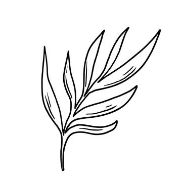 Leaf in doodle style vector illustration. Natural plant element isolated on w Stock Illustration