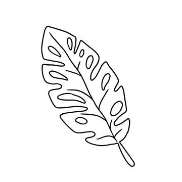 Leaf in doodle style vector illustration. Natural plant element isolated on w Stock-Illustration