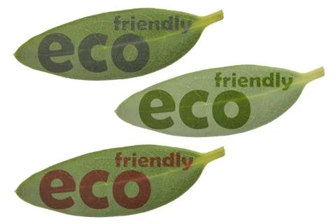 Leaf eco friendly word set Stock Photos