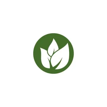 Leaf  ecology Logo Template vector 스톡 일러스트