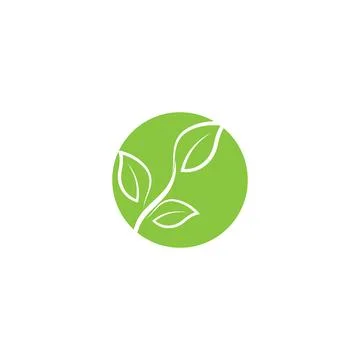 Leaf  ecology Logo Template vector 스톡 일러스트
