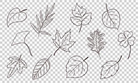 Leaf elements Stock Illustration