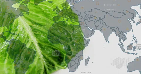 Leaf entering left under light gliding over map, revealing borders icons merging Stock Footage 313776678