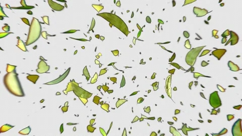 Leaf explosion flying in to camera. Video stock 229490571
