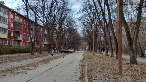 Leaf fall and a sandstorm in the city. Stock Footage 320294330