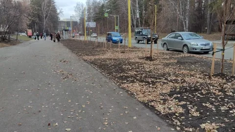 Leaf fall and a sandstorm in the city. Stock Footage 320294364