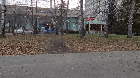 Leaf fall and a sandstorm in the city. Stock Footage 320294367