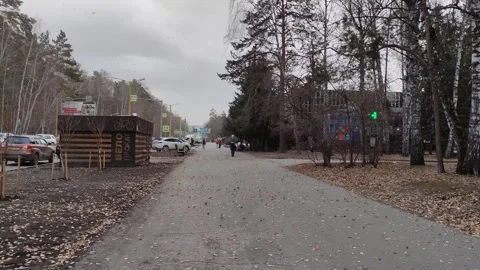 Leaf fall and a sandstorm in the city. Stock Footage 320294373