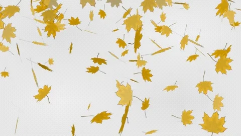 Leaf Fall. Animation with Alpha. Autumn ... | Stock Video | Pond5