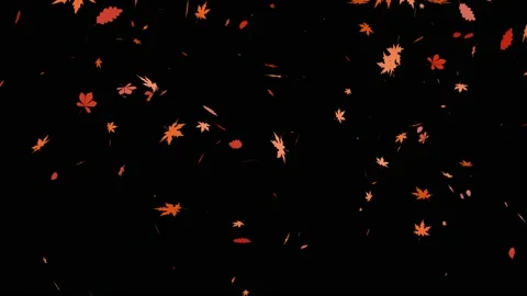 Leaf fall animation of maple, oakchestnut, grape leaves falling with rotation 库存影片 139570605