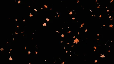 Leaf fall animation with wind. Autumn maple leaves falling on black background. Video stock 139570491