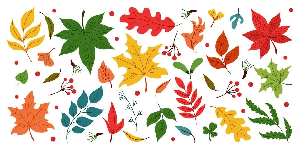 Leaf fall autumn. Maple icon, pattern tree. Red yellow and green plants lea.. Stock Illustration