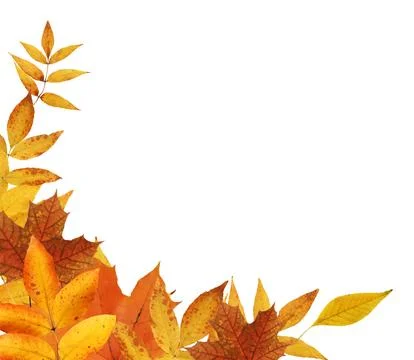 Leaf Fall Border Foto stock