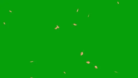 Leaf fall motion graphics with green screen background Stock Footage 123960989