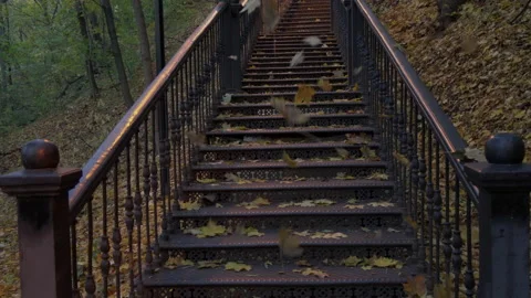 Leaf fall over the iron stairs in autumn Stock Footage 219347247