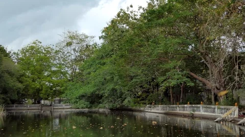 Leaf falling in autumn time. Stock Footage 98566617