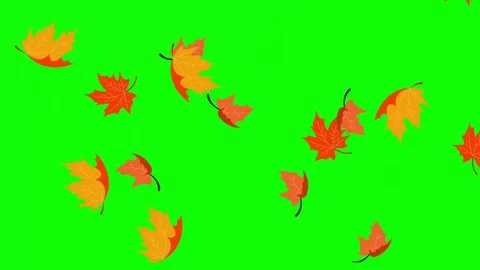 Leaf falling background animation. Stock Footage 256078205