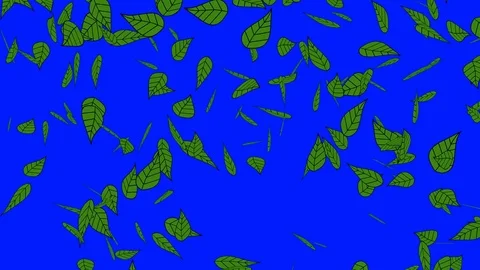 Leaf falling cartoon background blue screen Stock Footage 72131847
