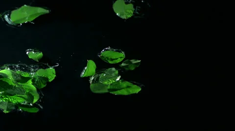 Leaf falling into water, Slow Motion Stock Footage 24866751