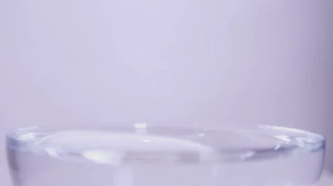 Leaf falls on water slow motion Stock Footage 58761371