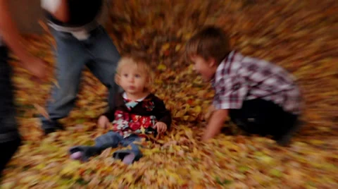 Leaf Fight Video stock 37744061