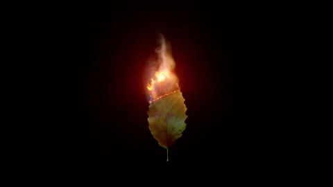 Leaf on fire and smoke loop Video stock 234940748