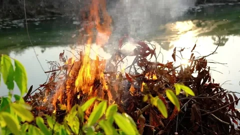 Leaf fire and Wildfire in spring close up view Video stock 146739118