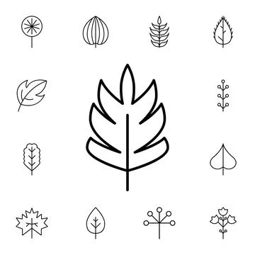 Leaf flat vector icon in leaves pack Illustrazione stock