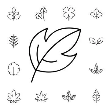 Leaf flat vector icon in leaves pack Stock Illustration
