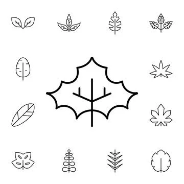 Leaf flat vector icon in leaves pack Stock Illustration