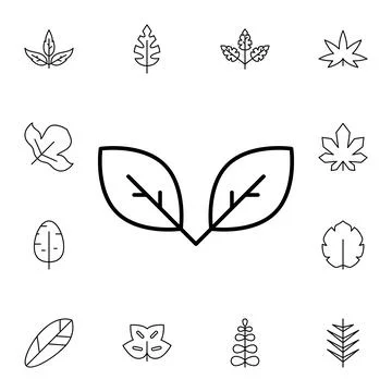 Leaf flat vector icon in leaves pack Stock Illustration