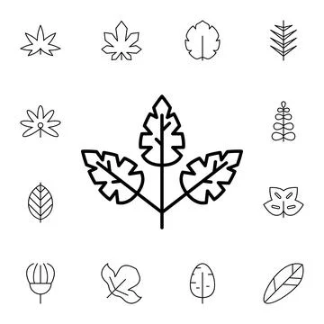 Leaf flat vector icon in leaves pack Stock Illustration