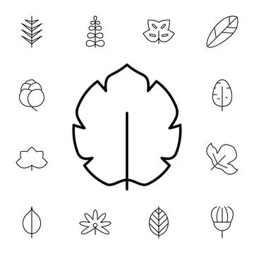 Leaf flat vector icon in leaves pack Stock Illustration