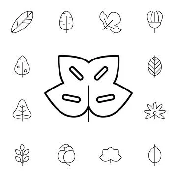 Leaf flat vector icon in leaves pack Stock Illustration