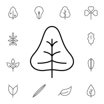 Leaf flat vector icon in leaves pack Stock Illustration