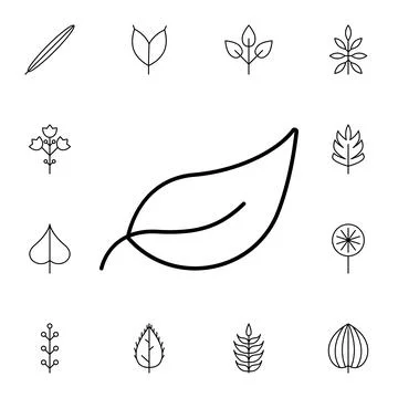 Leaf flat vector icon in leaves pack Stock Illustration
