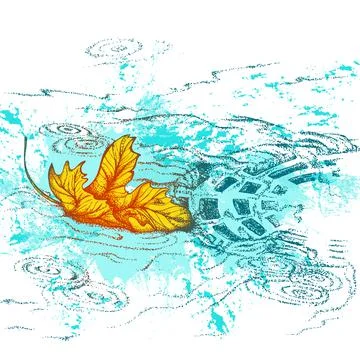 Leaf floating in the drain Stock Illustration