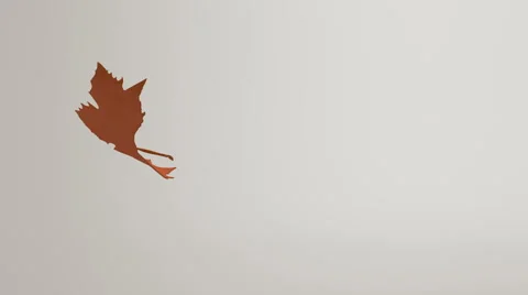Leaf floating to floor. Stock Footage 57814110