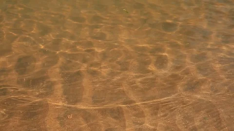 Leaf floating over rays Stock Footage 114263103